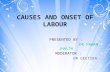 Causes and onset of labour