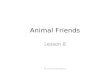 LESSON 8 - ANIMAL FRIENDS