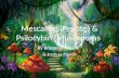 Mescaline (peyote) & psilocybin (mushrooms)