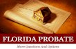 Florida Probate: More Questions and Options