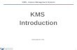 Kms introduction - Kaizen Institute India