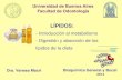 Lipidos, introducción al metabolismo. Presentación