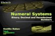 08 Numeral systems