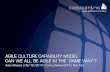 Agile Culture Capability Model or Can We All Be Agile in the “Same Way”?