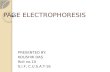 Koushik page electrophoresis