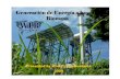 105 martin sander   cogeneracion de energia a base de biomasa