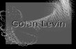 Golan levin