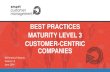 Best Practices Maturity Level 3 Customer-Centric Companies