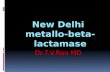 New delhi b lactase
