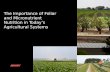 The importance of foliar nutrition in todays modern agriculture
