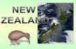 новая зеландия