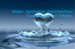 Water, sanitation and diarrheal disease presentation