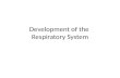 Development of Respiratory-system
