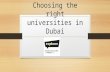 Choosing the right universities in dubai