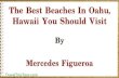 The best-beaches-in-oahu-hawaii-you-should-visit
