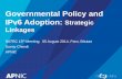 Government Policy and IPv6 Adoption - Strategic linkages
