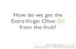 From Fruit to Olive Oil