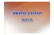 Naya Introduction