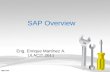 Sap overview 2