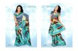 Variation sarees catalog 4