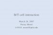 B/T cell interaction March 26, 2007