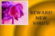 Beware! New virus!