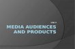 Media audiences and products