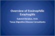 Overview of Eosinophilic Esophagitis