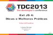 TDC2013: ExtJS 4: Dicas e Melhores Practicas