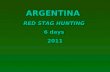 Red Stag Hunting Argentina 2011