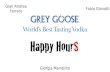 Happy HourS for Grey Goose - Presentation