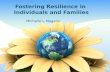 Fostering Disaster Resilience
