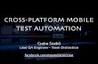 MeetOFF 2013-12-12 - Mobile test automation