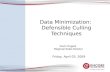 Data Minimization.Defensible Culling Techniques 04.03.09