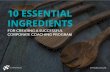 10 Essential Ingredients for Successful Corporate Coaching Programs