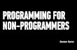 Programmming for non-Programmers
