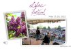 Lilac Festival - Rochester, New York