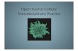 Open Source Culture and Transdisciplinary Practice