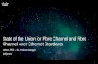 State of the Union for Fibre Channel and Fibre Channel over Ethernet Standards