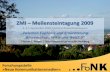 Florian L. Mayer (FoNK, Uni Bamberg): "Wissenschaft, Wikis und Web2.0" (ZMI Meilensteintagung 2009)