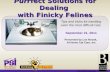 Dealing with Difficult Cats (PSI's September 2011 Pet Sitting for Smarties© Webinar)