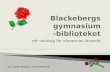 Blackebergs gybibl vision och samarbete
