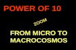 Fantastic Trip- From Micro to Macro
