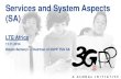Services and System Aspects (SA)