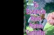 Su Excelencia, Mario Moreno -Cantinflas-