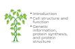 Information about Cell and it's structure and protein synthesis