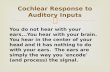 Cochlear response to auditory inputs