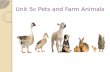 Unit 5c pets and farm animals