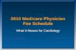 2010 Medicare Physician Fee Schedule