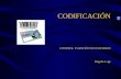 Simulación codificación código barras código control